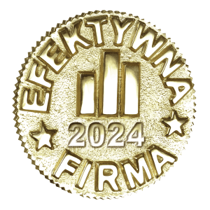 Promotionslogo Effizientes Unternehmen 2024